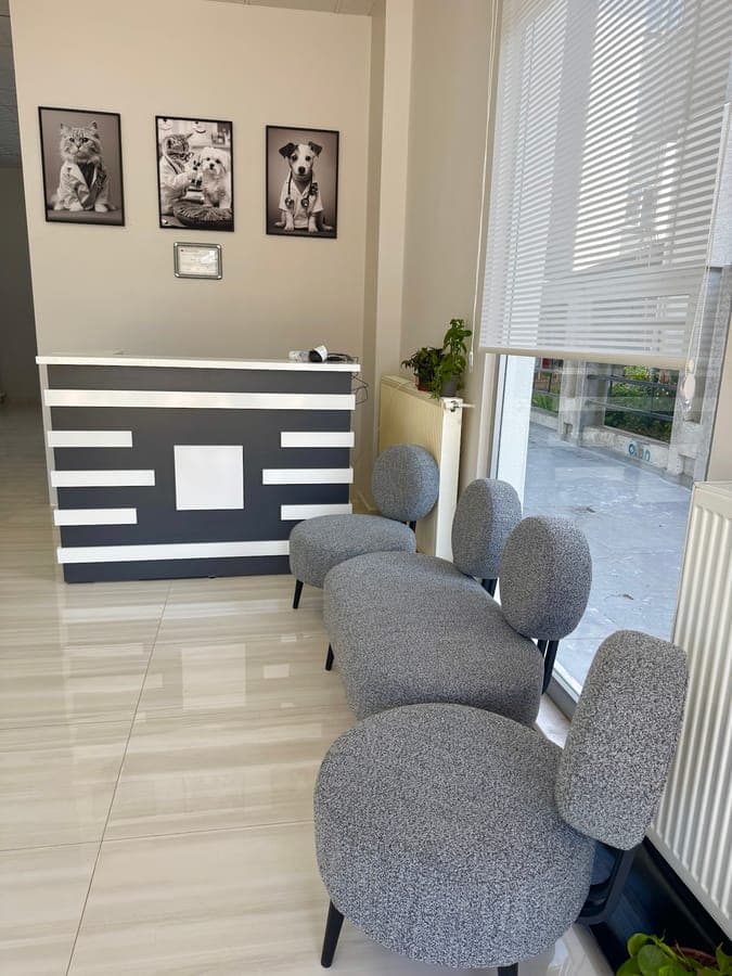 Resepsiyon alanı pati şekilli koltuklar