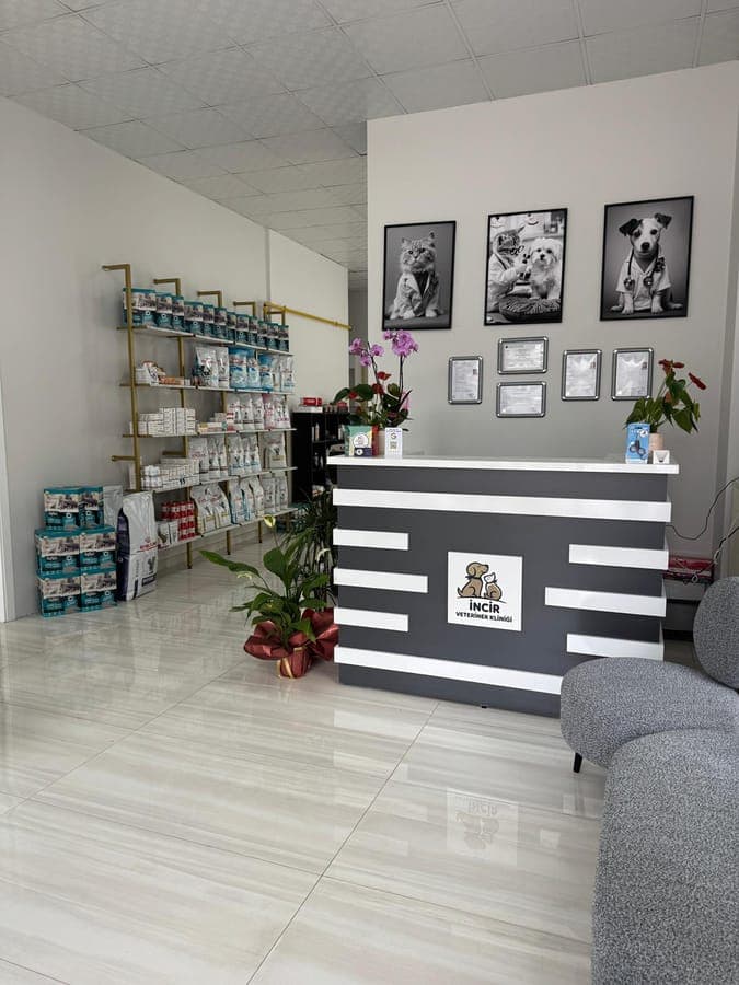 Klinik resepsiyon alanı ve logo