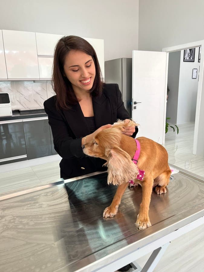 Veteriner hekim köpek muayenesi